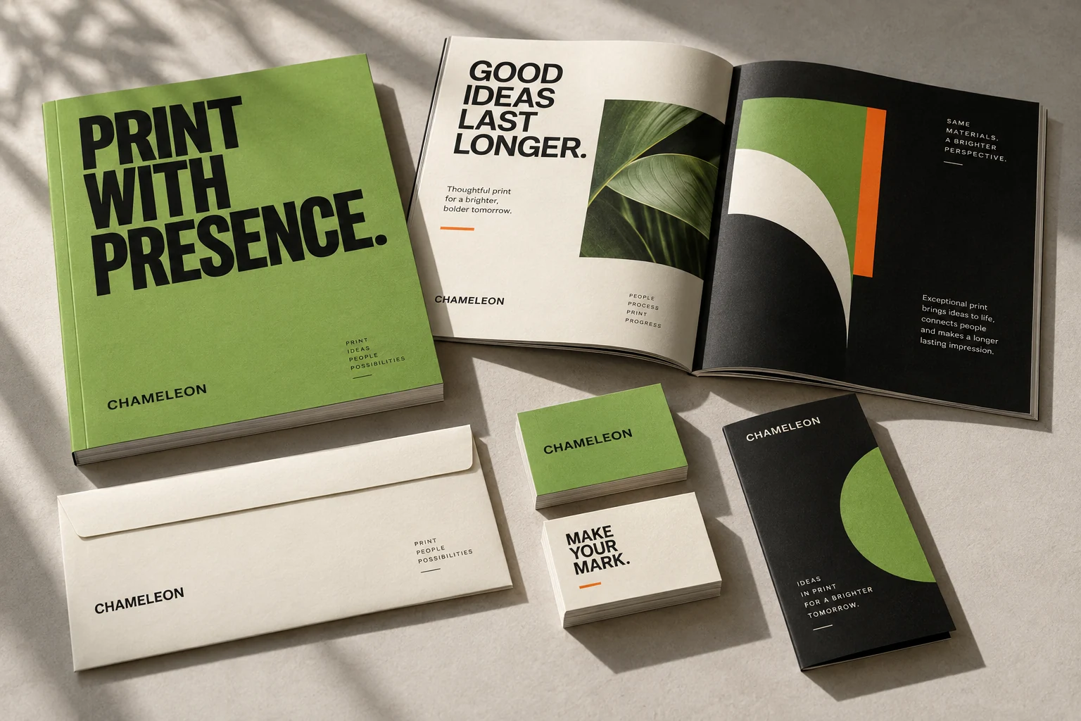 Illustrative Chameleon-branded printed brochure and stationery concept